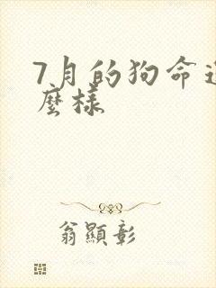 7月的狗命运怎么样