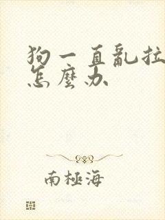 狗一直乱拉乱尿怎么办