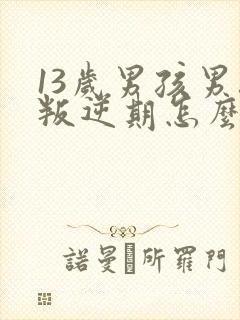 13岁男孩男孩叛逆期怎么办