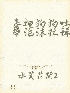 泰迪狗狗吐黄水带泡沫拉稀