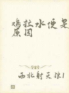 鸡拉水便是什么原因