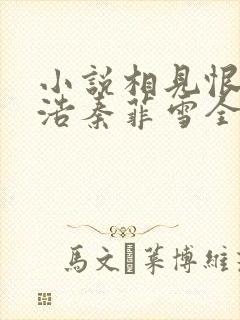 小说相见恨晚沈浩秦菲雪全文阅读