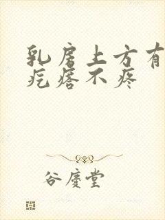 乳房上方有个硬疙瘩不疼