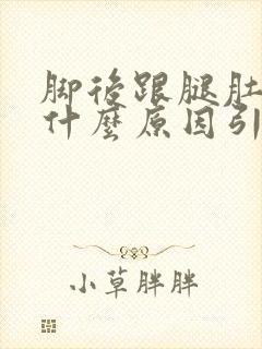 脚后跟腿肚疼是什么原因引起的封面