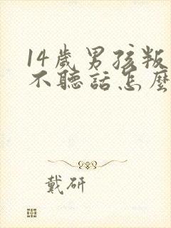 14岁男孩叛逆不听话怎么办