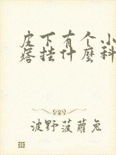 皮下有个小硬疙瘩挂什么科封面