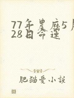 77年农历5月28日命运