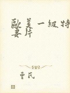 欧美一级特黄夫妻片