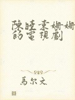 陈晓袁姗姗主演的电视剧