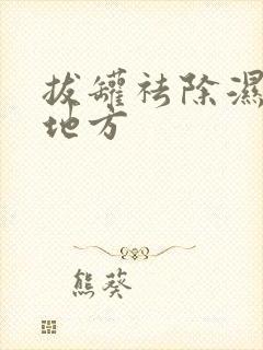 拔罐祛除湿气的地方