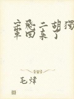 宋飞二胡独奏红军回来了