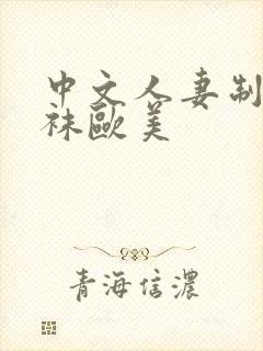 中文人妻制服丝袜欧美