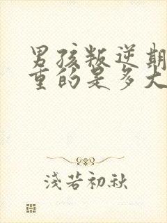 男孩叛逆期最严重的是多大年纪封面