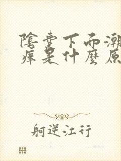 阴囊下面潮湿瘙痒是什么原因造成的