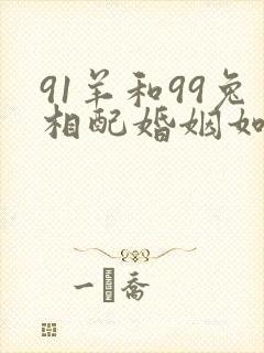 91羊和99兔相配婚姻如何封面