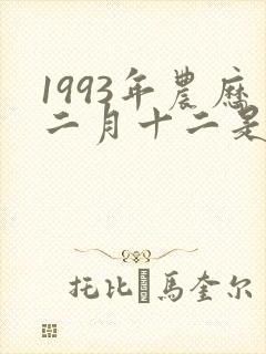 1993年农历二月十二是什么命
