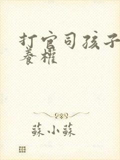 打官司孩子的抚养权