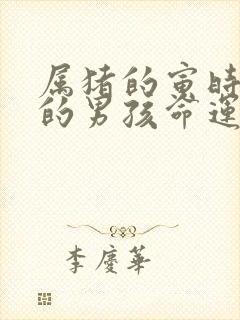 属猪的寅时出生的男孩命运