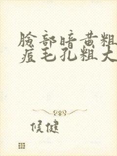 脸部暗黄粗糙长痘毛孔粗大