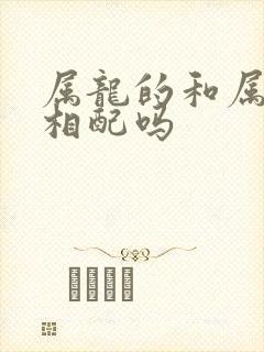 属龙的和属兔的相配吗