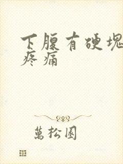 下腹有硬块按压疼痛