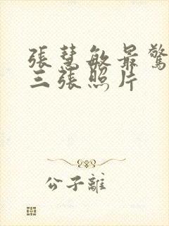 张慧敏最惊艳的三张照片