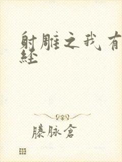 射雕之我有太玄经