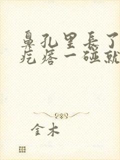 鼻孔里长了一个疙瘩一碰就疼