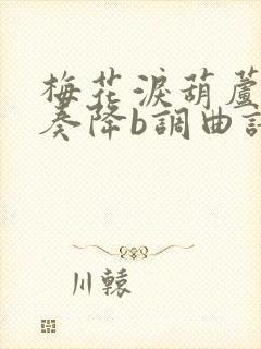 梅花泪葫芦丝独奏降b调曲谱