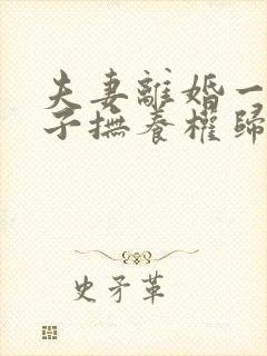 夫妻离婚一个孩子抚养权归谁封面