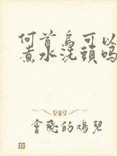 何首乌可以直接煮水洗头吗