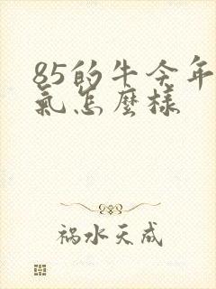 85的牛今年运气怎么样