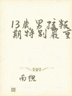 13岁男孩叛逆期特别严重怎么办封面