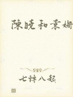 陈晓和袁姗姗封面