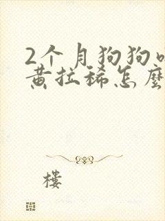 2个月狗狗吃蛋黄拉稀怎么办