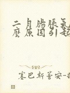 二月肠胀气是什么原因引起的