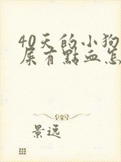 40天的小狗拉屎有点血怎么回事