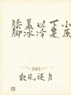 膝盖以下小腿到脚冰冷是原因