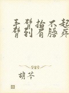 手臂抬不起来手臂到肩膀疼