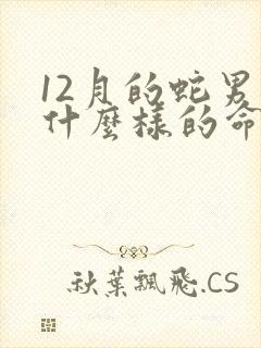 12月的蛇男是什么样的命运
