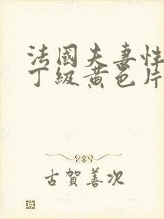 法国夫妻性生活丁级黄色片封面