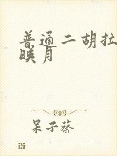 普通二胡拉二泉映月封面