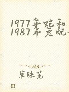 1977年蛇和1987年兔配婚姻好不好