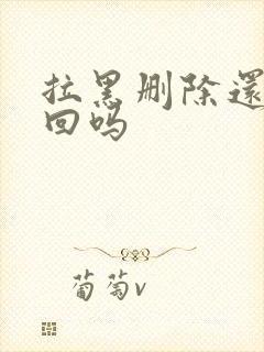 拉黑删除还能挽回吗封面