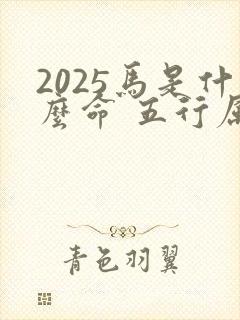 2025马是什么命 五行属什么