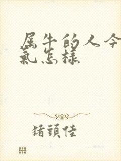 属牛的人今年运气怎样