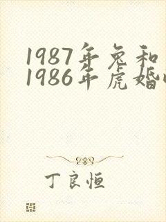 1987年兔和1986年虎婚配封面