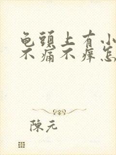 龟头上有小疙瘩不痛不痒怎么回事