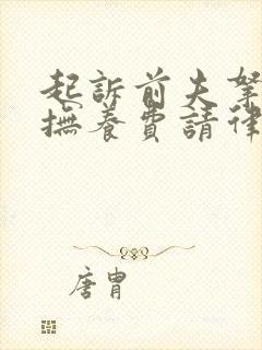 起诉前夫拿孩子抚养费请律师要多少钱