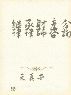 继承财产分割法律律师咨询